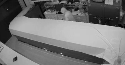 Bắt đối tượng đột nhập tiệm vàng trộm cắp tài sản trị giá hơn 3 tỉ đồng