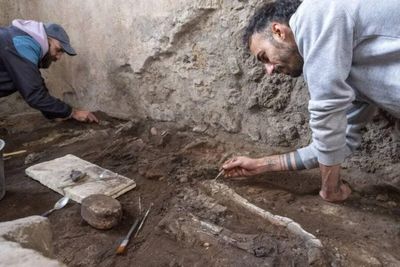 Giải mã hai bộ xương động vật ở Pompeii hé lộ cái chết bi thảm