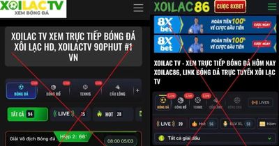 Bảo vệ bản quyền để nuôi dưỡng hệ sinh thái sáng tạo