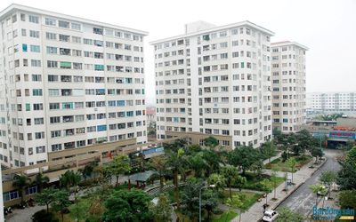Lối rẽ nhân văn cho giấc mơ an cư