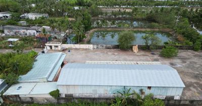 Vụ chủ đất kiện chủ nhà ở Cà Mau: Hủy quyền sử dụng đất của người mua vì không xem trước thực địa