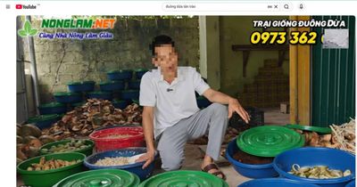 Cơ quan chức năng vào cuộc vụ bẫy bao tiêu nuôi con đặc sản