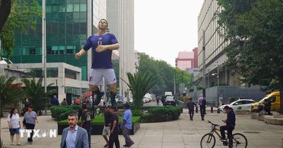 World Cup 2026: Khám phá các đại bản doanh đặc biệt
