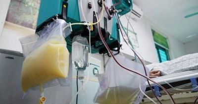 Người phụ nữ 27 tuổi 'máu trắng như sữa', bác sĩ điểm mặt chỉ tên thói quen ăn uống 'cực độc'
