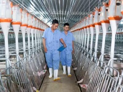 BAF Việt Nam bị phạt hơn 820 triệu đồng