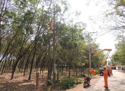 Lịch cắt điện Đồng Nai ngày mai 11/6 cập nhật mới nhất