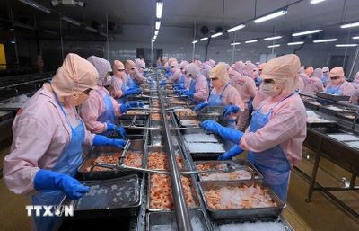 Giải quyết 'nghịch lý phát triển' ở Đồng bằng sông Cửu Long