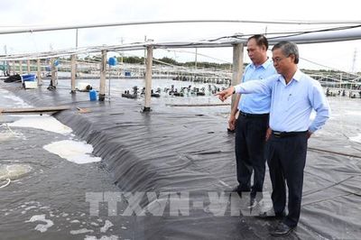 Thủy sản Vĩnh Long tìm lực đẩy từ công nghệ cao