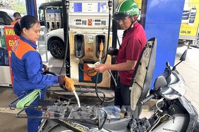 Bộ Công Thương giao nhiệm vụ thúc đẩy triển khai xăng sinh học E10