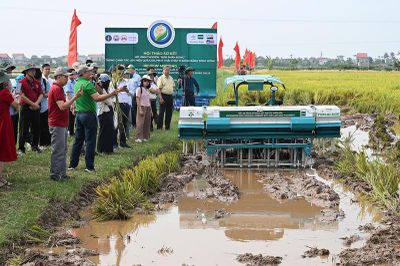 Lúa gạo phát thải thấp: Lợi ích kép cho nông dân và môi trường