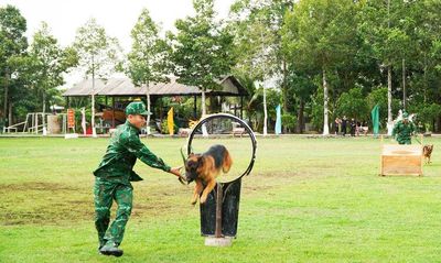 Bộ đội Biên phòng tỉnh An Giang tổ chức lễ tuyên thệ chiến sĩ mới năm 2026