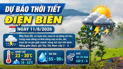 Bản tin Dự báo thời tiết ngày 11/6/2026