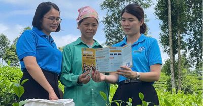 Điểm tựa an sinh nơi vùng cao biên giới