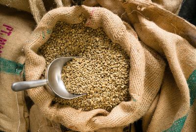 Giá cà phê hôm nay 10/6: Tiếp tục chịu áp lực, robusta chạm đáy 2 tháng