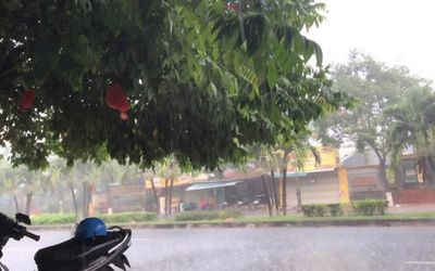 Quảng Ngãi: 'Mưa vàng' giải nhiệt sau nhiều tháng nắng nóng gay gắt