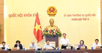 Tòa án được chủ động hơn trong xem xét áp dụng biện pháp cai nghiện bắt buộc