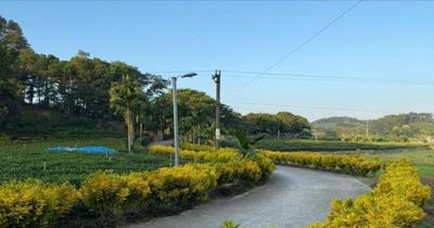 Thái Nguyên ưu tiên nguồn lực phát triển vùng đồng bào dân tộc thiểu số