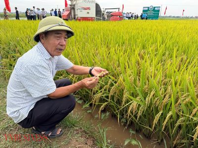 Từ hoài nghi đến nhân rộng: HTX thu lãi gấp 6 lần nhờ mô hình lúa giảm phát thải