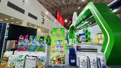 Hóa chất Đức Giang muốn chuyển nhượng nhà máy cồn
