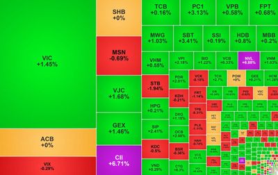 Cổ phiếu bất động sản 'đồng khởi' kéo VN-Index về lại mốc 1.800 điểm