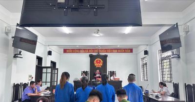 Từ ứng dụng thuế giả mạo đến mạng lưới rửa tiền xuyên biên giới