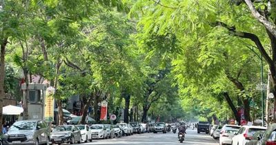 Bắc Bộ ngày nắng, khu vực đồng bằng có mưa rào rải rác
