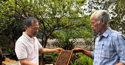 Từ đặc sản quê nhà đến sản phẩm OCOP: Đoài Phương nâng tầm nông sản
