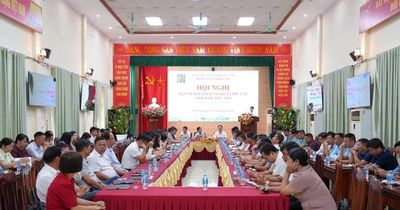 Xã Phú Cát dự kiến giảm còn 13 thôn