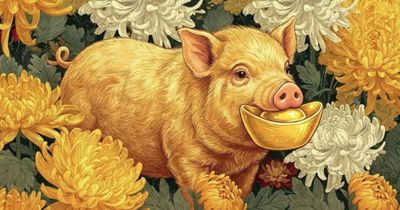 Thần Tài mở kho phát lộc nửa cuối năm: 4 con giáp đón vận may hiếm có