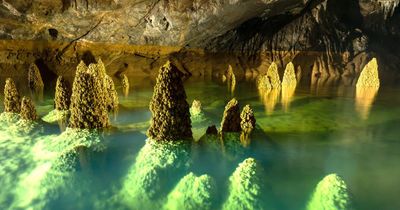 Phong Nha - điểm đến lý tưởng để hòa mình vào thiên nhiên và chữa lành