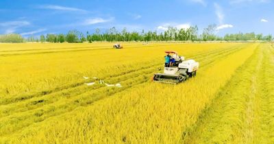 Nông nghiệp với ngã rẽ chuyển đổi tư duy