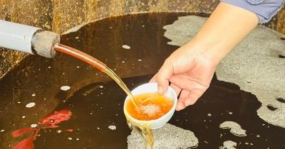 Trung thực với nghề, danh tiếng vang xa