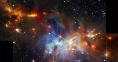 12 ngôi sao mới sinh gần Trái Đất có hành vi lạ