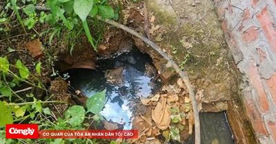 Phát hiện, xử lý các cơ sở vi phạm pháp luật về môi trường