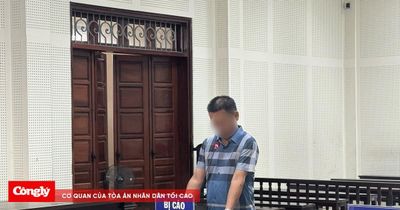 Xét xử vụ hủy hoại hơn 10ha rừng tự nhiên ở Quảng Ninh