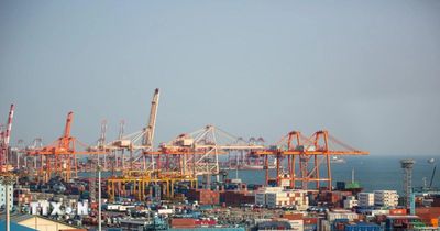 Hàn Quốc mở rộng cấp thị thực lao động nước ngoài trong ngành dịch vụ