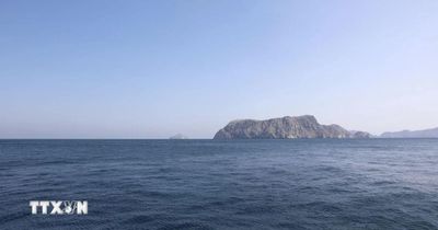 Xung đột tại Trung Đông: IMO lên án vụ tấn công tàu chở dầu gần eo biển Hormuz