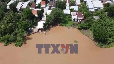 Tình hình sạt lở bờ sông tiếp tục diễn biến phức tạp ở Đồng Tháp