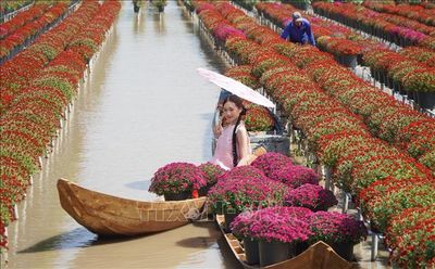 Du lịch trải nghiệm 'hồi sinh' vùng sinh thái lân cận Thành phố Hồ Chí Minh
