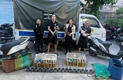 Công an TP Hồ Chí Minh triệt xóa nhóm chuyên trộm cắp, tiêu thụ mèo quy mô lớn