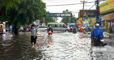 Đường An Bình sắp 'lột xác' để kết nối đầu mối logistics lớn của Tp.HCM