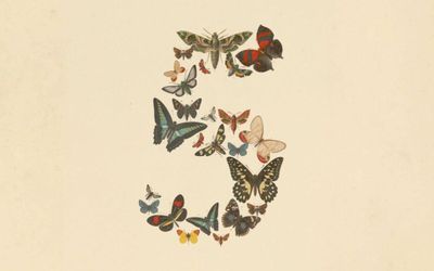 Anthropic ra mắt Claude Fable 5