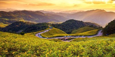 93% du khách Việt yêu thích du lịch tự lái xe
