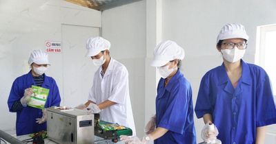 Phát triển hợp tác xã và OCOP làm trụ cột kinh tế nông thôn
