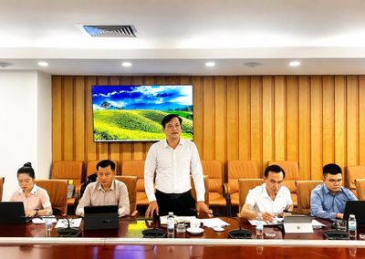 Điện Biên đề xuất hỗ trợ xây dựng vùng nguyên liệu cà phê, cao su đáp ứng quy định chống mất rừng của Liên minh châu Âu