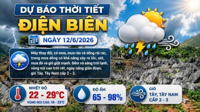 Bản tin Dự báo thời tiết ngày 12/6/2026
