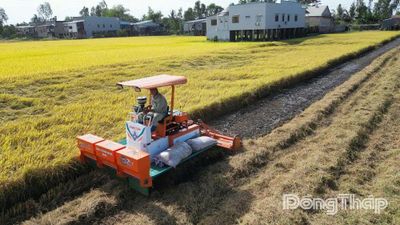 Từ người nông dân đến người kiến tạo giá trị nông nghiệp