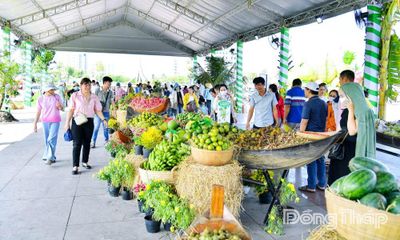 Bước khởi đầu cho chiến lược phát triển bền vững ngành hàng trái cây