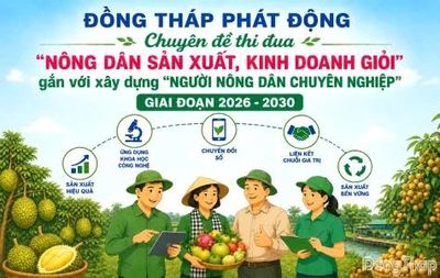 Đồng Tháp: Thi đua 'Nông dân sản xuất, kinh doanh giỏi' gắn với xây dựng 'Người nông dân chuyên nghiệp'