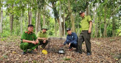 Vườn Quốc gia Kon Ka Kinh tái thả 15 cá thể động vật quý hiếm về môi trường tự nhiên